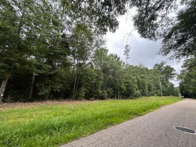 Land for sale in Lacombe, Louisiana