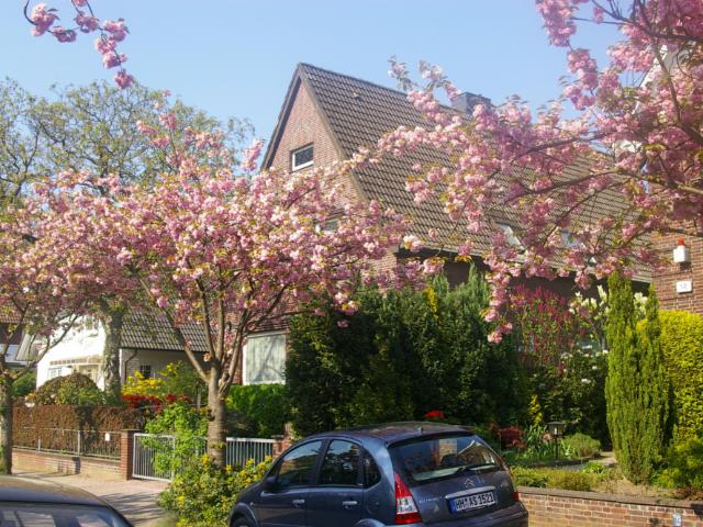 Dachgeschosswohnung mieten in Wandsbek, Hamburg