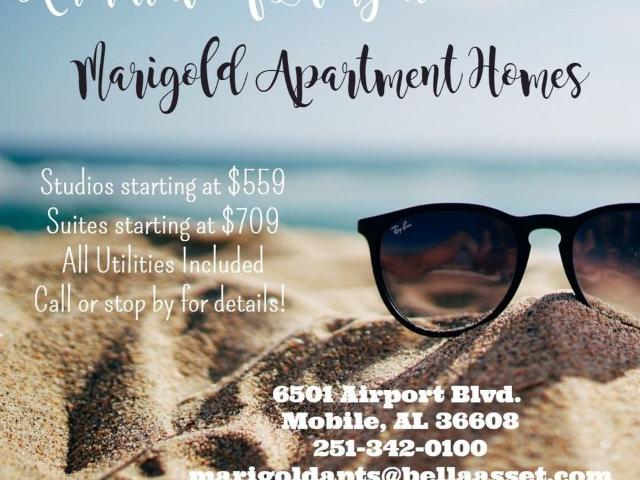 Apartment for rent in Mobile, Alabama