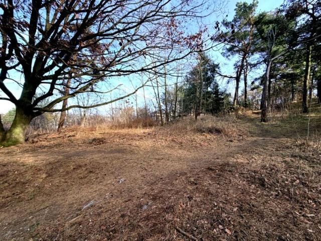 Grunt na sprzedaż w Gdynia, Pomorskie