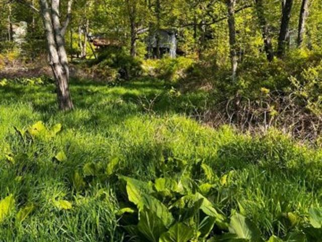 Land for sale in Bartonsville Land for sale in Bartonsville