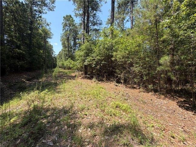 Land for sale in Louisiana