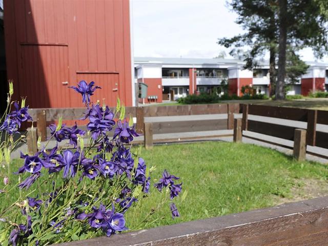 Lägenhet hyra i Boliden, Västerbotten