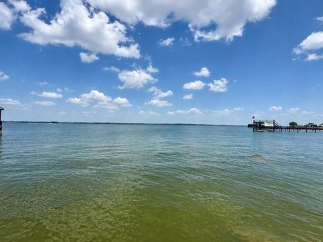 Land for sale in Streetman, Texas