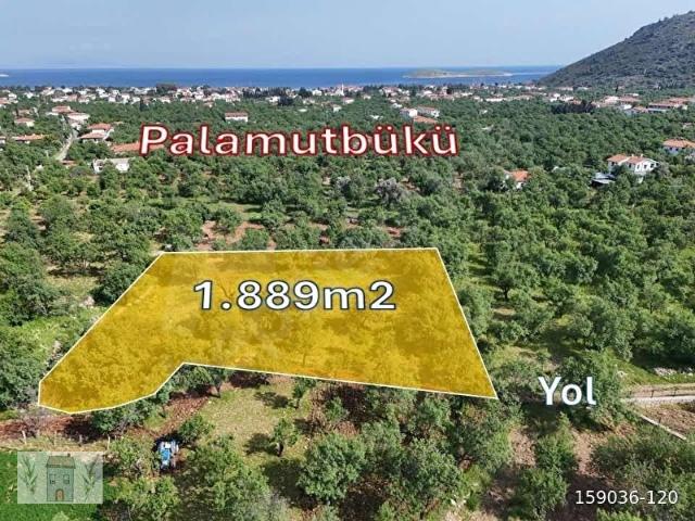 Datça, Muğla içerisinde satılık Arsa