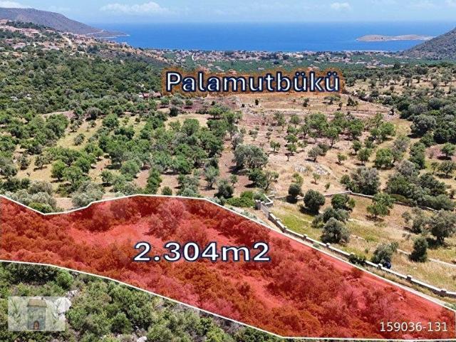 Datça, Muğla içerisinde satılık mülk