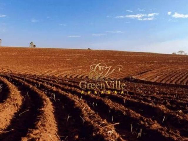 Sítio e chácara venda em Maringá, Região Geográfica Intermediária de Maringá