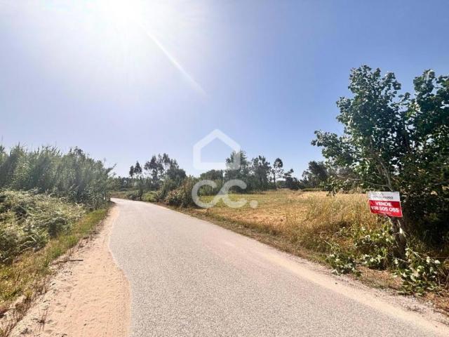 Terreno venda em Marinha Grande, Leiria
