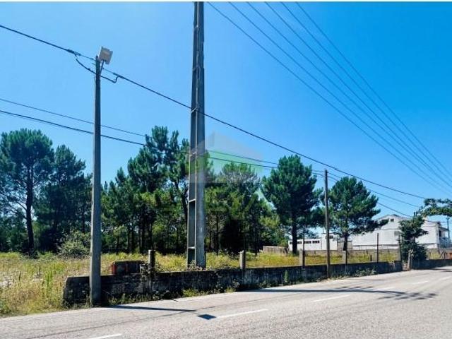 Terreno venda em Benta, Marinha Grande