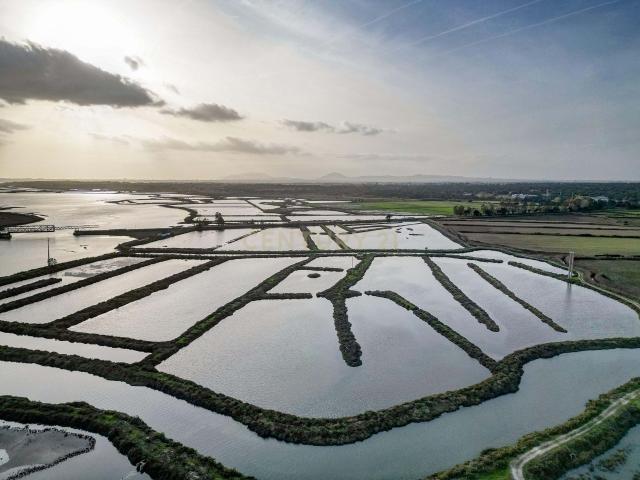Terreno alugar em Palmela, Setúbal