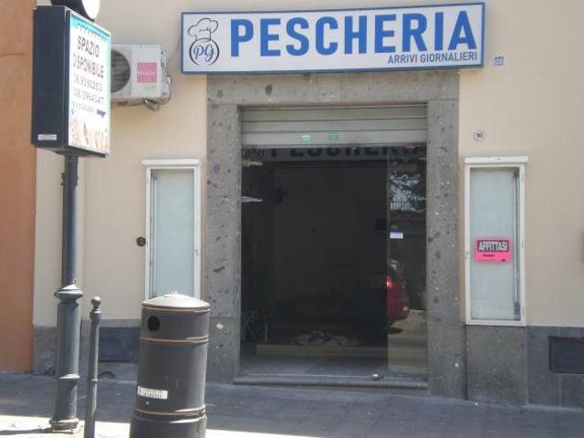 Locale Commerciale in affitto a Costa Caselle, Roma Capitale
