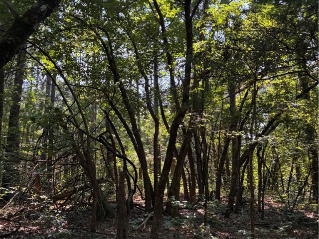 Land for sale in Ark