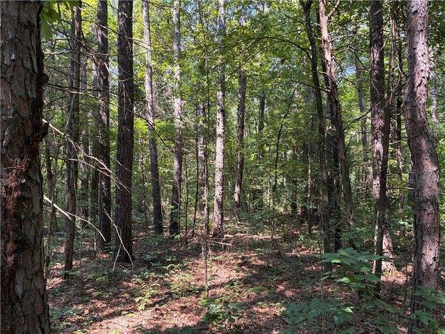 Land for sale in Ark