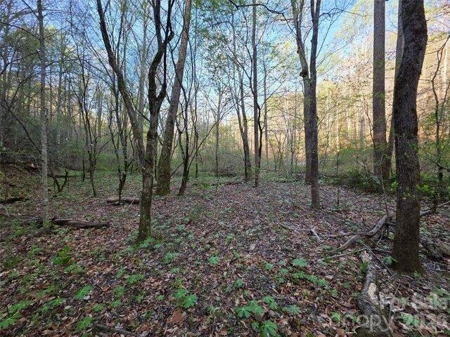 Land for sale in Marion, North Carolina