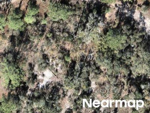 Land for sale in Lake Placid, Florida