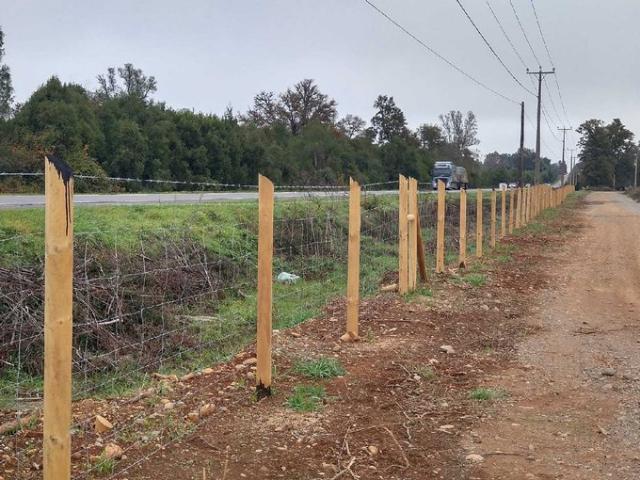 Mariquina, Cercano a Ciudad de Valdivia 74724