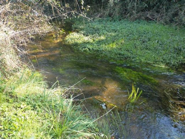 Mariquina, Cercano a Ciudad de Valdivia 74724