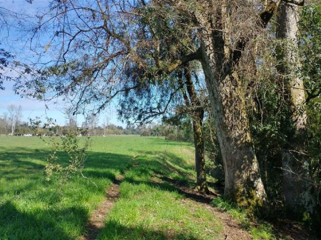 Mariquina, Cercano a Ciudad de Valdivia 74724