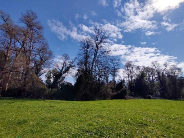 Mariquina, Cercano a Ciudad de Valdivia 74724