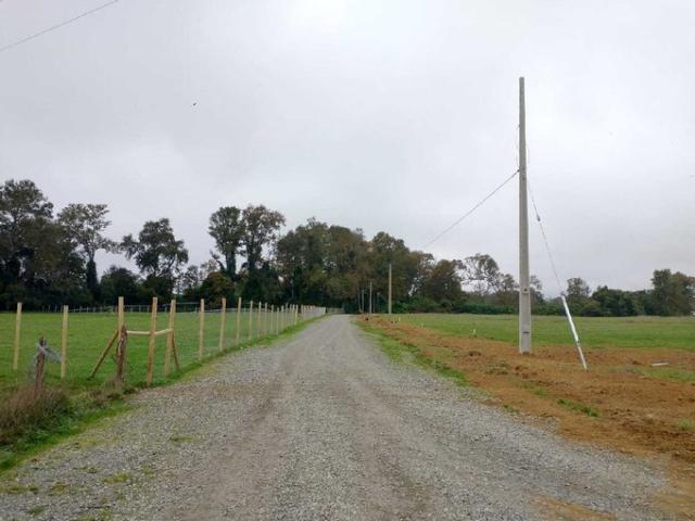 Mariquina, Cercano a Ciudad de Valdivia 74724