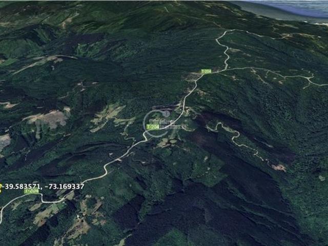 Mariquina, Mariquina