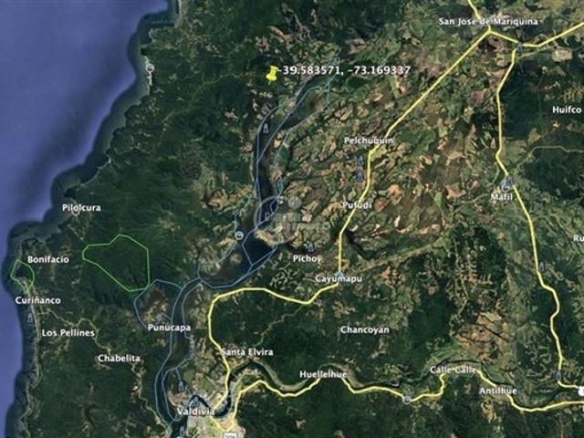 Mariquina, Mariquina