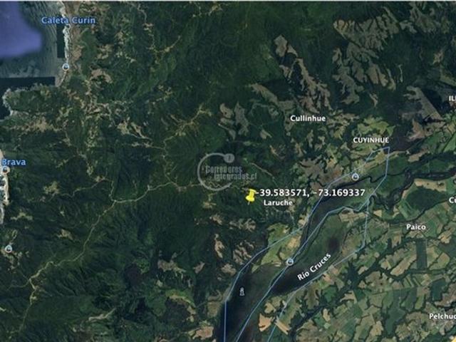 Mariquina, Mariquina