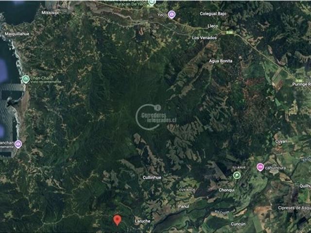 Mariquina, Mariquina