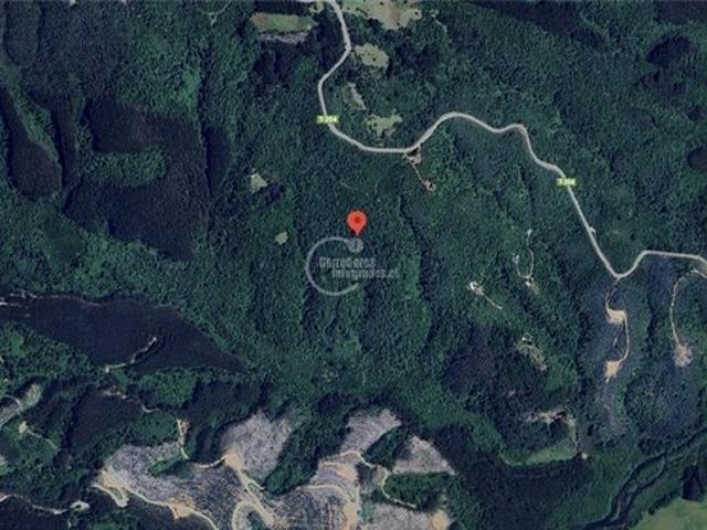 Mariquina, Mariquina