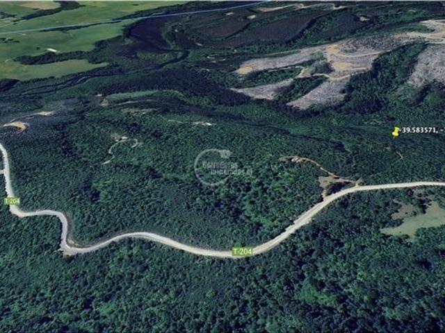 Mariquina, Mariquina