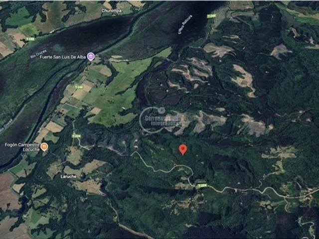 Mariquina, Mariquina