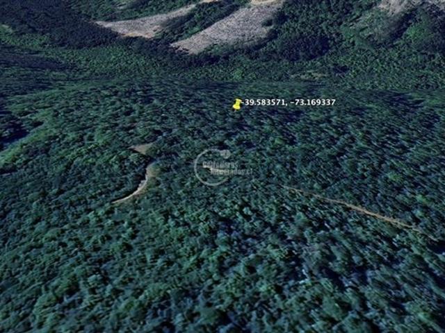 Mariquina, Mariquina