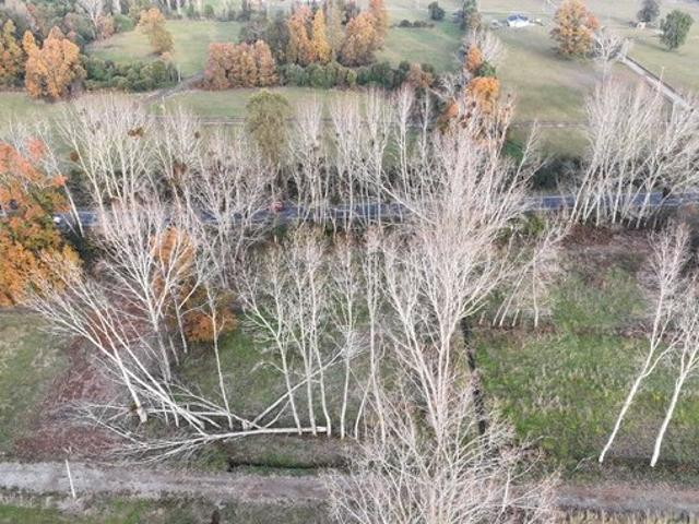 Mariquina, Vendo parcelas San José de la Mariquina 81525