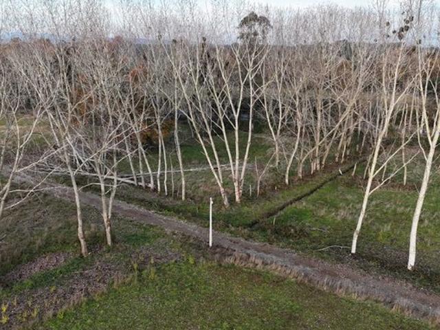 Mariquina, Vendo parcelas San José de la Mariquina 81525