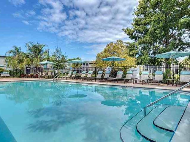 Apartment for rent in Saint Petersburg, Florida