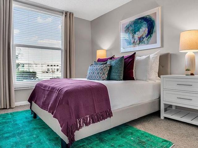Apartment for rent in Saint Petersburg, Florida