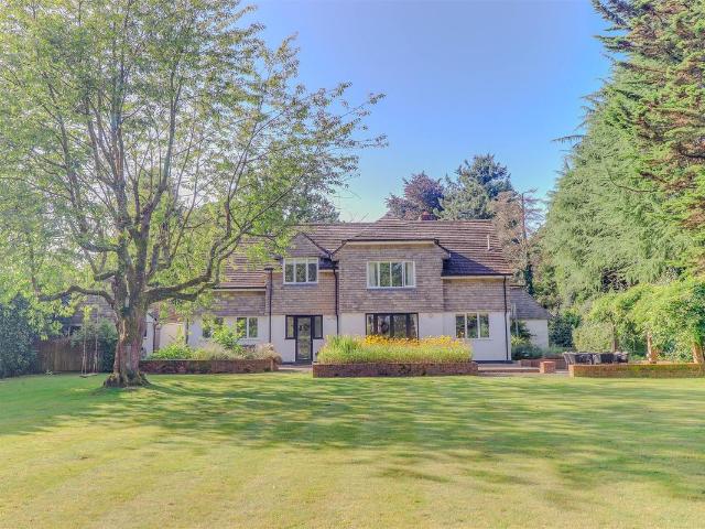 Apartment for rent in Hurtmore, Westborough