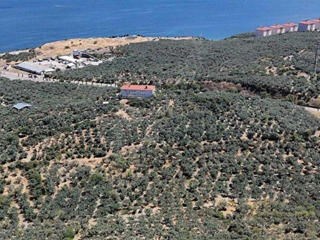 Alaettin Mahallesi, Erdek içerisinde satılık mülk