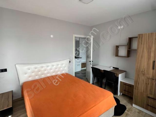 Kütahya Merkez, Kütahya içerisinde kiralık mülk