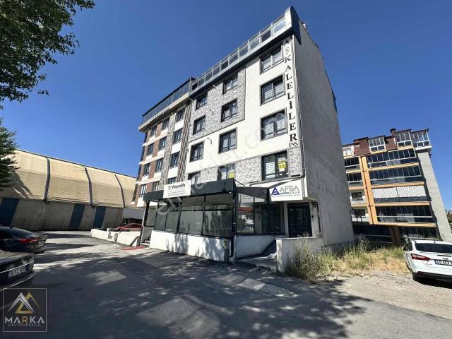 Kütahya Merkez, Kütahya içerisinde kiralık mülk