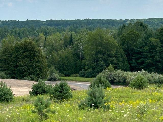 Land for sale in Williamsburg, Michigan