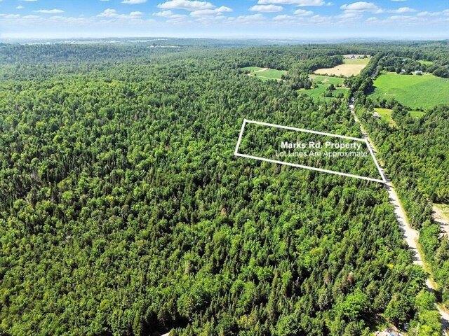 Land for sale in Albion, Maine