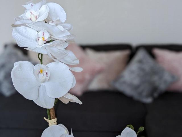 House for rent in Kings Heath, Isle Of Man