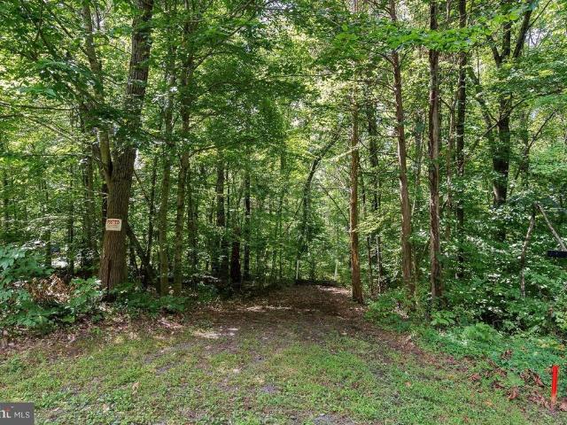 Land for sale in Virginia