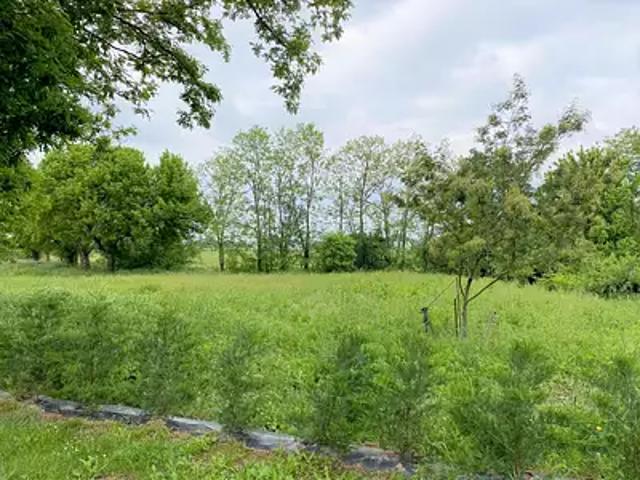 Terrain vente à France métropolitaine, Marmande