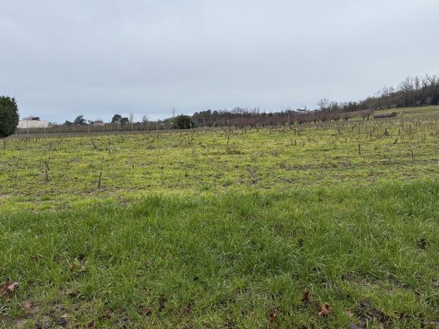 Terrain vente à France métropolitaine, Marmande