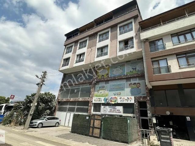 Körfez, Kocaeli içerisinde kiralık mülk