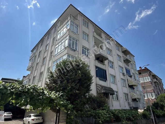 Körfez, Kocaeli içerisinde kiralık mülk