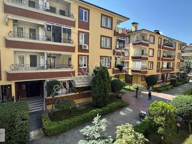 Körfez, Kocaeli içerisinde kiralık mülk