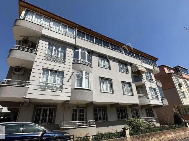 Körfez, Kocaeli içerisinde kiralık mülk